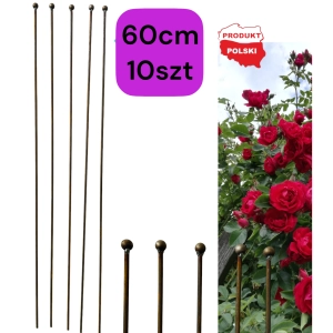 PALIK TYCZKA DO ROŚLIN 60CM PODPORA POMIDORÓW KWIATY METALOWA SOLIDNA 10SZT